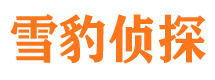 正阳外遇调查取证